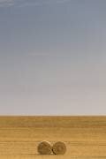 Infinity (Tony Goran) - Muzeo.com