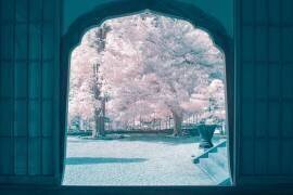 Infrared photography (Yuuui) - Muzeo.com