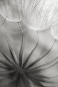 Into the heart (François Casanova) - Muzeo.com