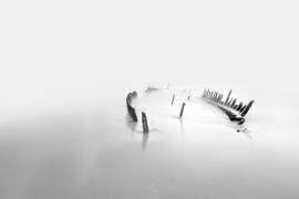 Into the mist (Mel Brackstone) - Muzeo.com