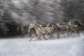 Joie de l'hiver (Milan Malovrh) - Muzeo.com