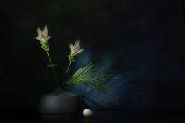 Kurkuma dream (Saskia Dingemans) - Muzeo.com