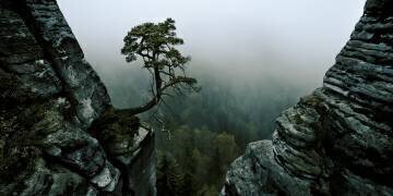 /\\-l /\\ (Andreas Schott) - Muzeo.com