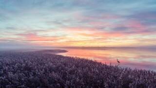La vue matinale du héron (Leif Londal) - Muzeo.com
