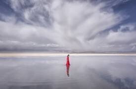 Lady in Red (Larry Deng) - Muzeo.com