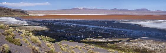 Laguna colorada (Karsten Wrobel) - Muzeo.com