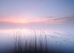 Lake (Keller) - Muzeo.com