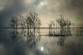 Lake's Secret (Joanne_flj) - Muzeo.com