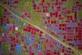 Largest red chilli field (Azim Khan Ronnie) - Muzeo.com