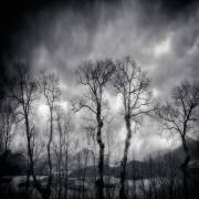 Last days (Txules) - Muzeo.com
