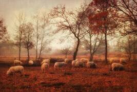 Last days of autumn (Ellen van Deelen) - Muzeo.com