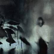 Last sad portrait (Teruhiko Tsuchida) - Muzeo.com
