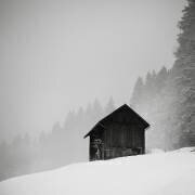 Le secret de la clairière (Ronny Behnert) - Muzeo.com