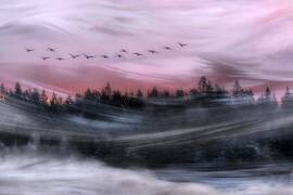 Leaving at dawn (Bjorn Emanuelson) - Muzeo.com
