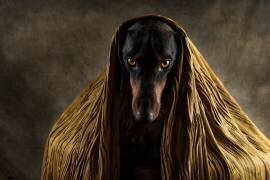 Les yeux d'or (Heike Willers) - Muzeo.com