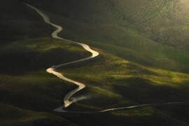 Life line (Ali Memari) - Muzeo.com