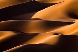 Light and Shadow (Mohammadreza Momeni) - Muzeo.com