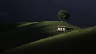 Light and shadows (Fiorenzo Carozzi) - Muzeo.com