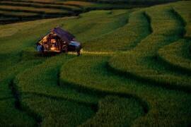 Light in Home (Sarawut Intarob) - Muzeo.com
