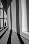 Ligne noire (Florentinus Joseph) - Muzeo.com