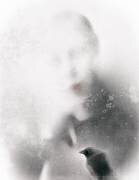L'oiseau en colère (Gilbert Claes ) - Muzeo.com