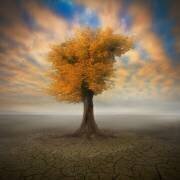 Lonesome (Piotr Krol (Bax)) - Muzeo.com