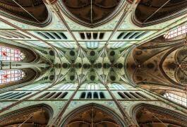 Looking Up (Gerard Jonkman) - Muzeo.com