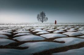 Lost Paradise (Sandeep Mathur) - Muzeo.com