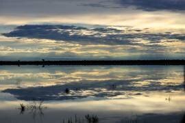 Lumière sur le pan d'Etosha en Namibie (Philippe-Alexandre Chevallier) - Muzeo.com