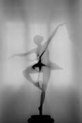 Ma danseuse préférée (Pphgallery) - Muzeo.com