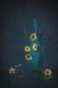Marguerites jaunes (Lydia Jacobs) - Muzeo.com