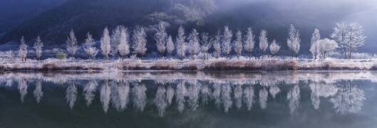 Matin froid (Tiger Seo) - Muzeo.com