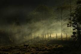 Misty Morning (Nunu Rizani) - Muzeo.com