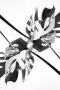 Kaléidoscope de Monstera 03 (1x Studio III) - Muzeo.com
