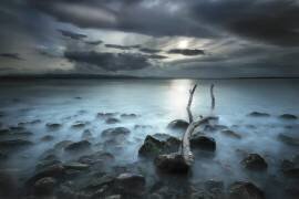 Moonland (Martin Marcisovsky) - Muzeo.com