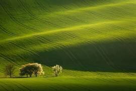 Moravian waves (Daniel Řeřicha) - Muzeo.com