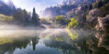 Morning calm (Gwangseop Eom) - Muzeo.com