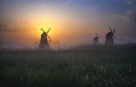 Lueur du matin (Tiger Seo) - Muzeo.com