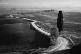 Morning in the field (Rostovskiy Anton) - Muzeo.com