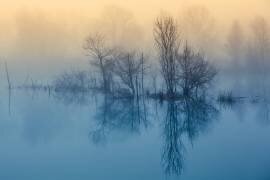 Morning reflection (David Butali ) - Muzeo.com