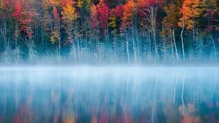 Morning Reflection (John Fan) - Muzeo.com