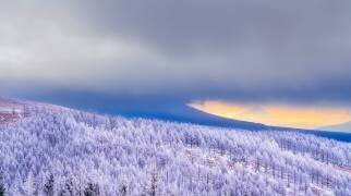 Mt. Fuji floating in the morning mist (Yuusuke Hisamitsu) - Muzeo.com