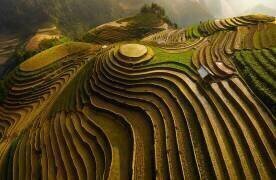 Mu cang chai - vietnam (Dao Tan Phat) - Muzeo.com