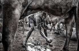 Mundari child collecting urine to wash his face - South Sudan (Joxe Inazio Kuesta) - Muzeo.com