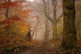 My autumn walk (Leif Londal) - Muzeo.com