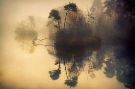 My place (Anton van Dongen) - Muzeo.com
