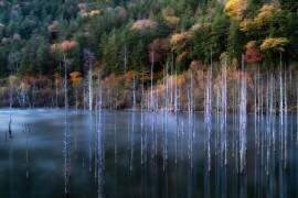 Natural Lake Autumn (Takeshi Mitamura) - Muzeo.com