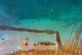 Near the shore (Jure Kravanja) - Muzeo.com