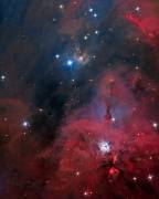 NGC 1999 (Vikas Chander) - Muzeo.com