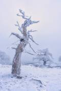 Nieve en el sur de EspaApa (Emilio Pino) - Muzeo.com